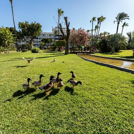 شقة Colorado Alamos