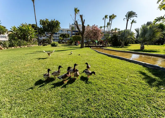 Apartment Colorado Alamos